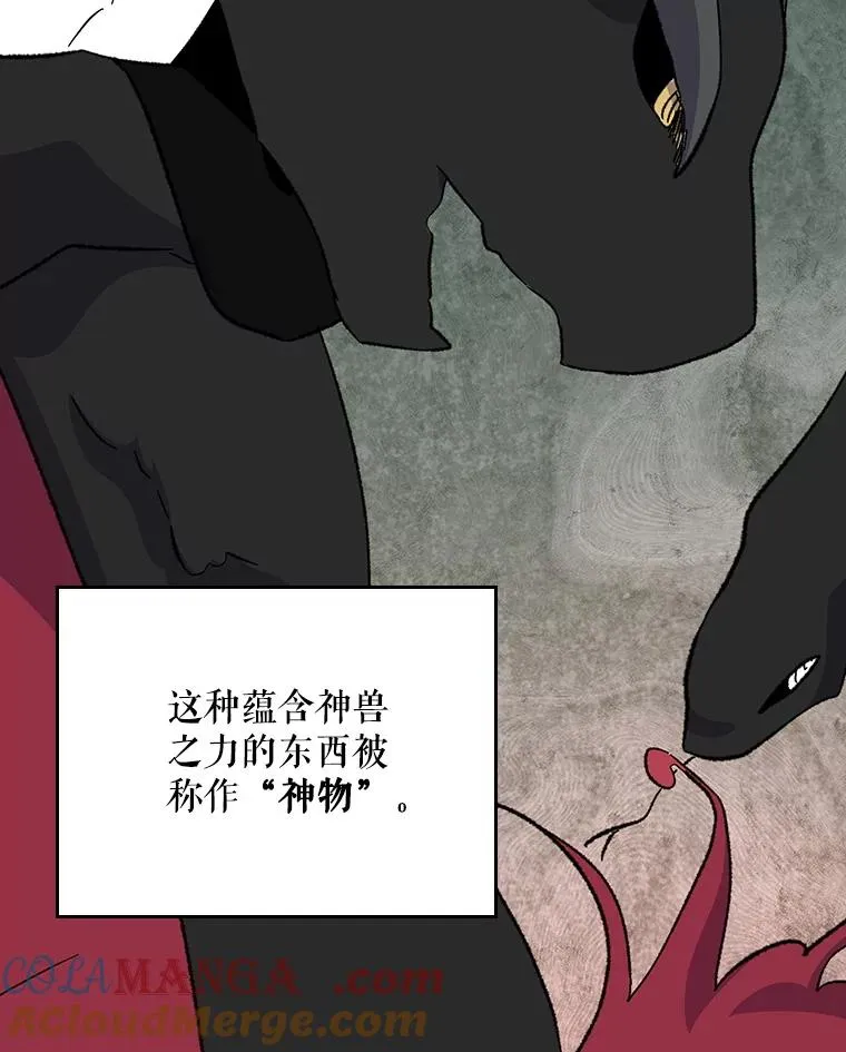 112.神兽的信物 第29页