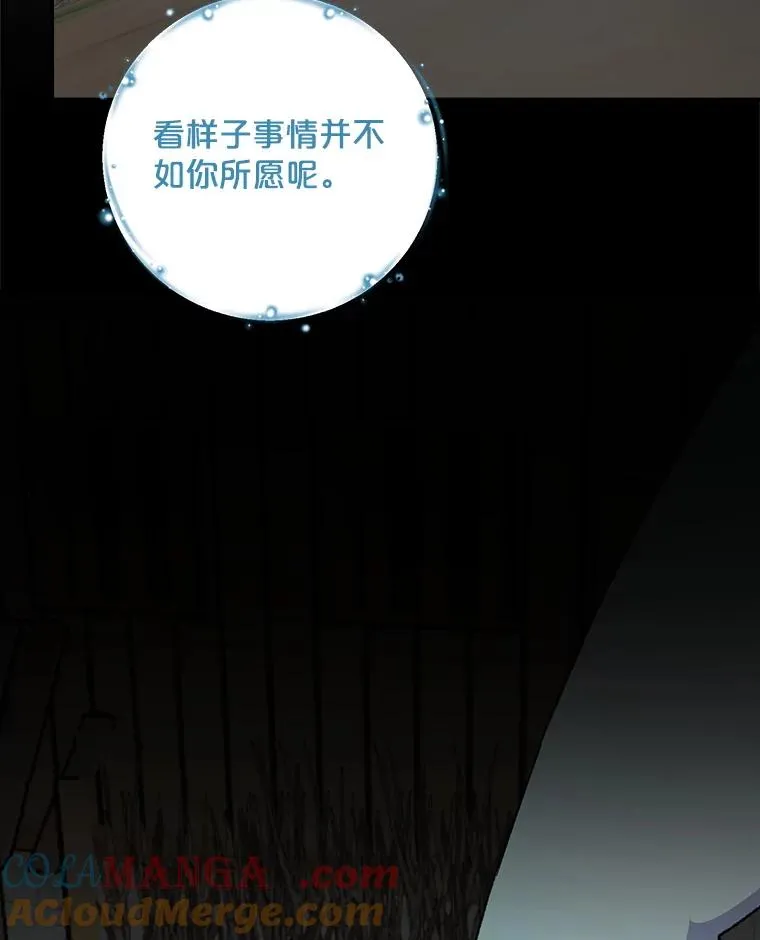 114.大战一触即发 第37页