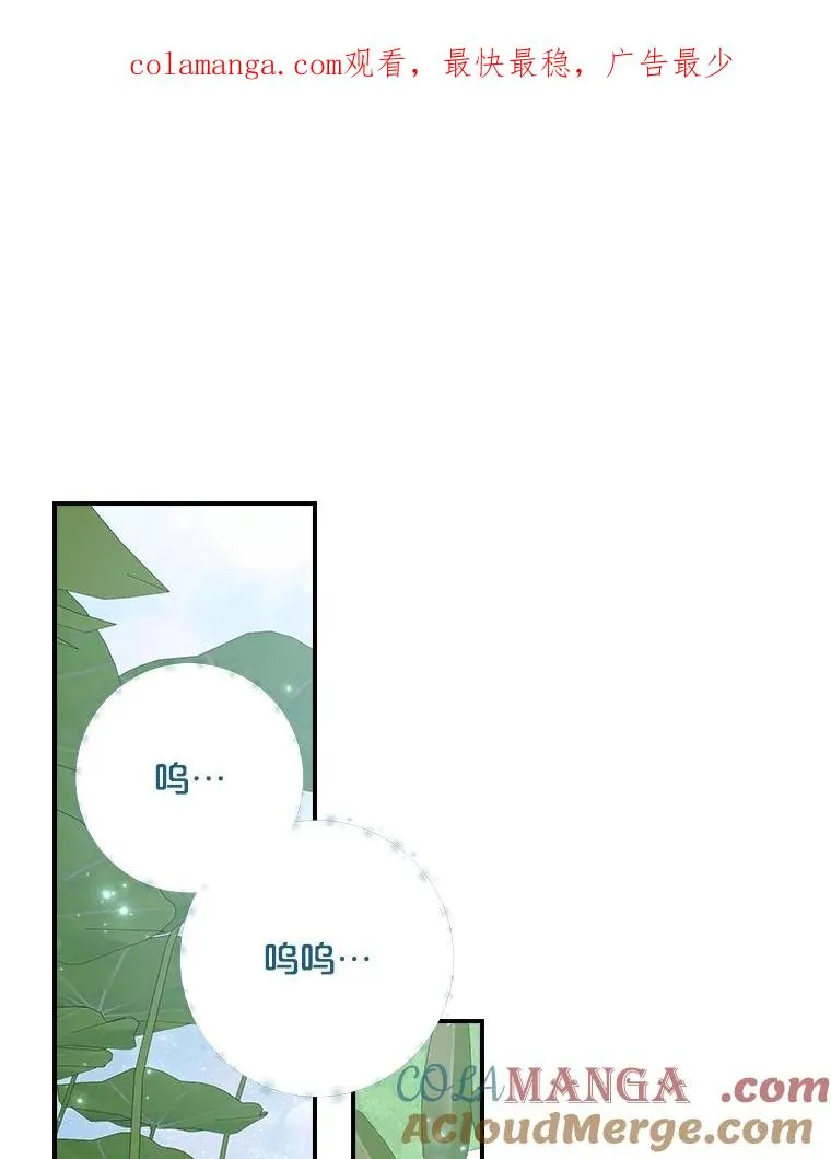 123.来到精灵界 第1页