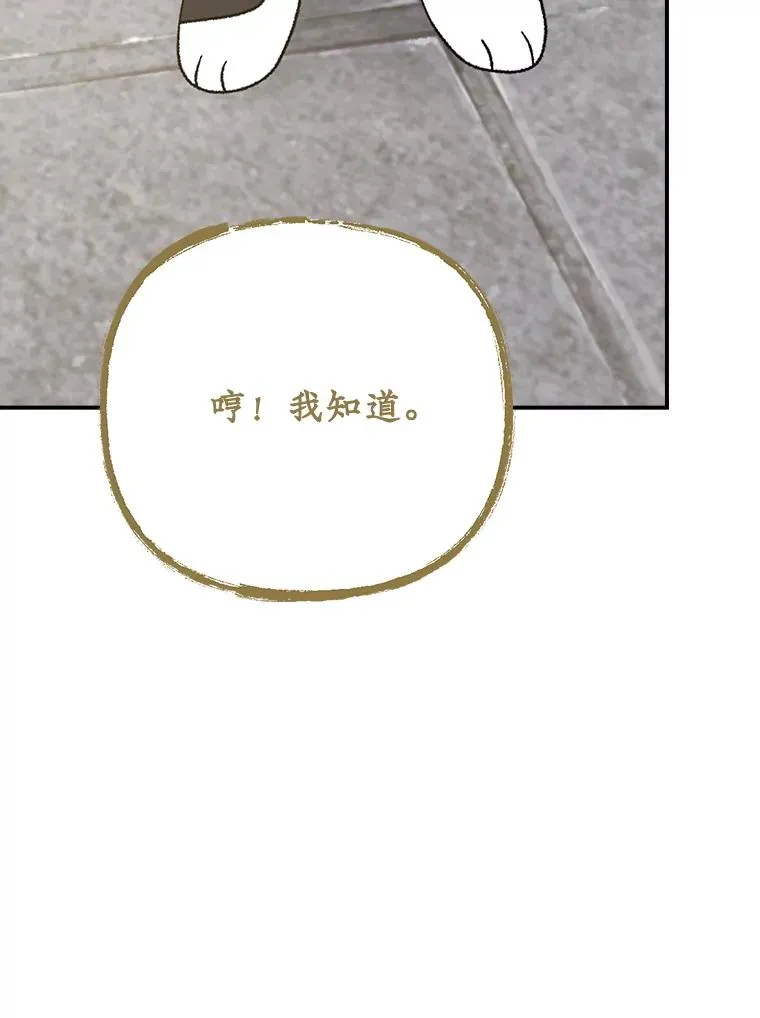 125.平安归来 第107页