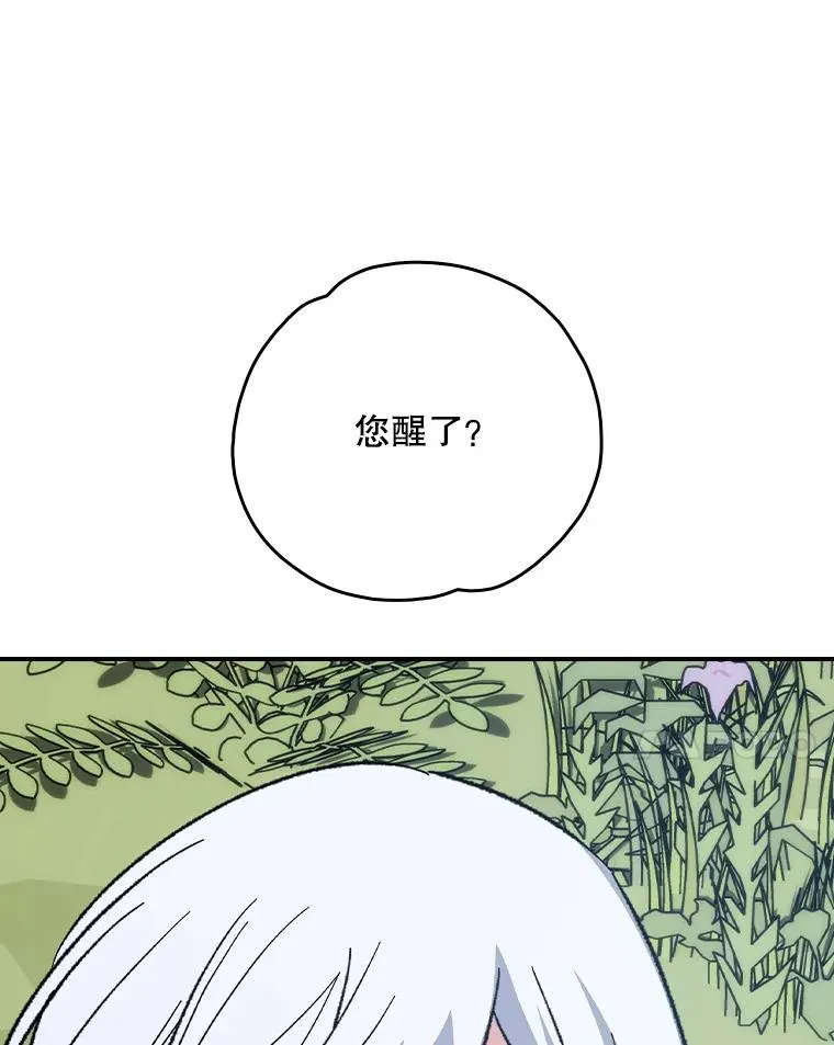 126.重新启程 第34页