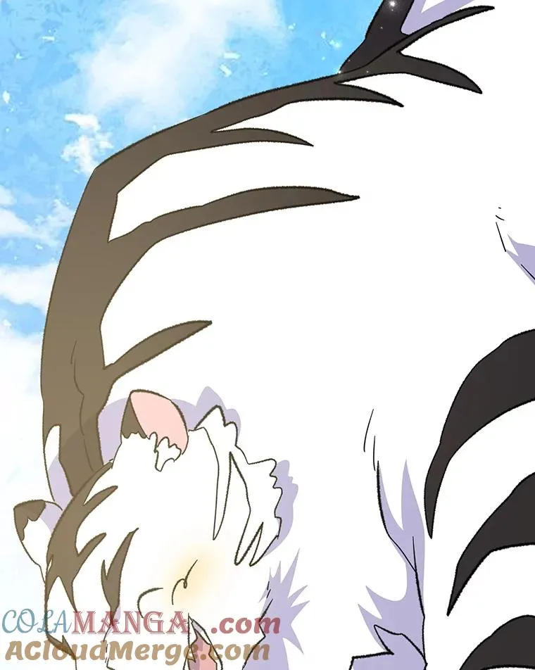 127.面见皇帝 第13页