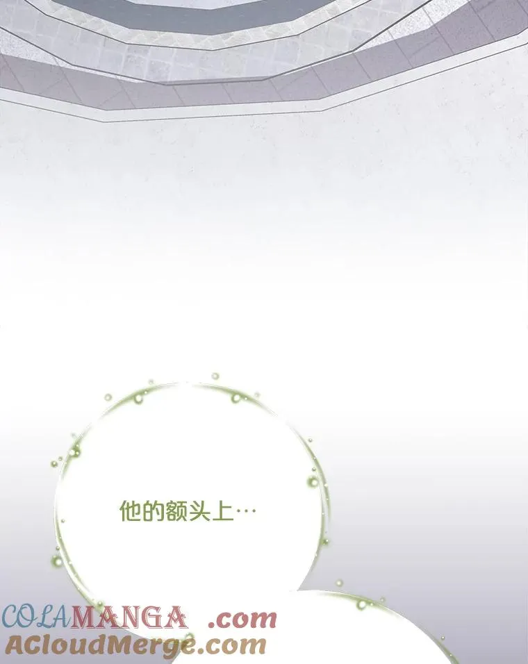 133.教皇离世 第89页