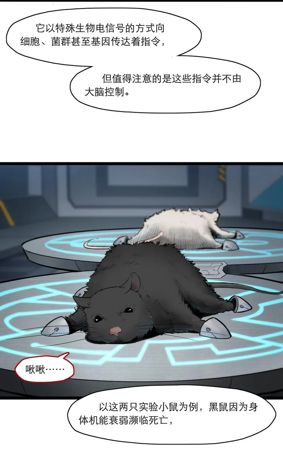 02话（上） 发布会 第32页