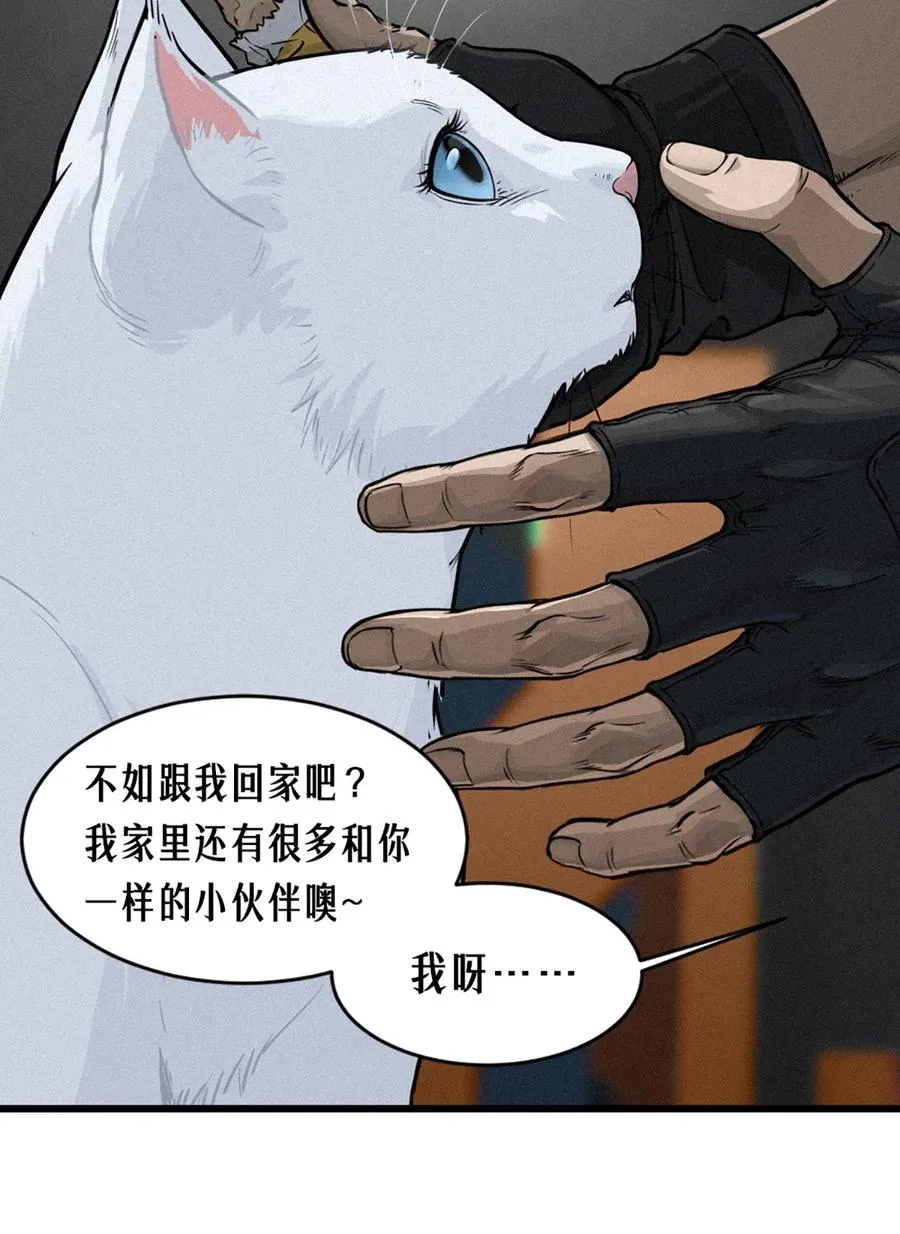 29话 护猫使者（上） 第17页