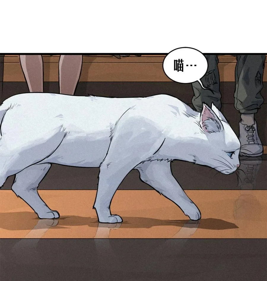 29话 护猫使者（上） 第27页