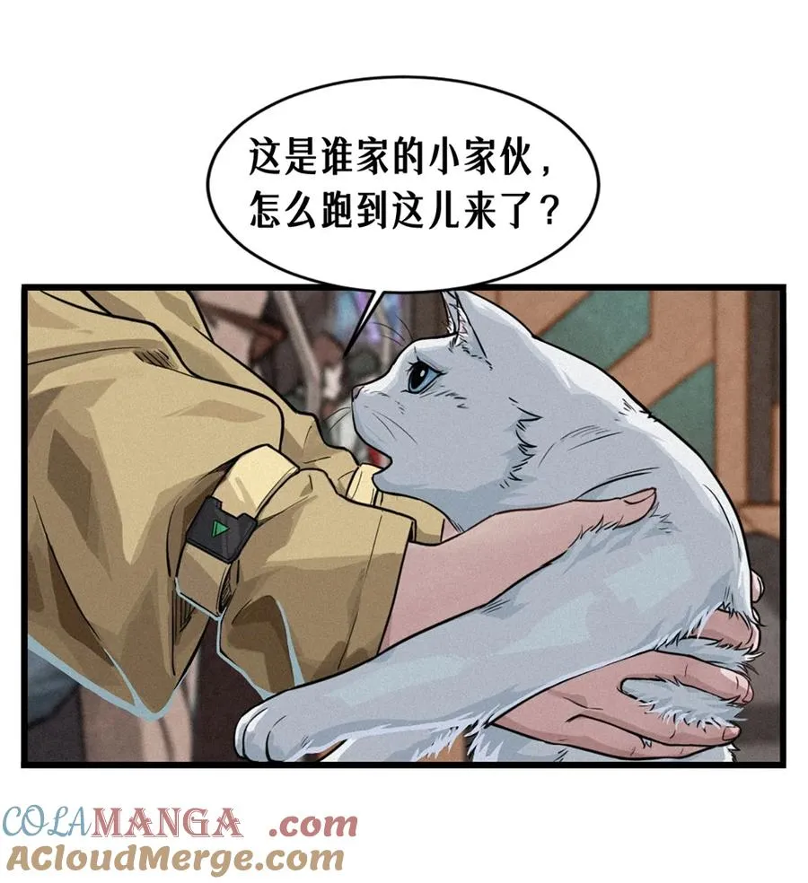 29话 护猫使者（上） 第37页