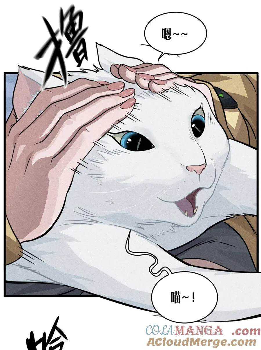 29话 护猫使者（上） 第40页