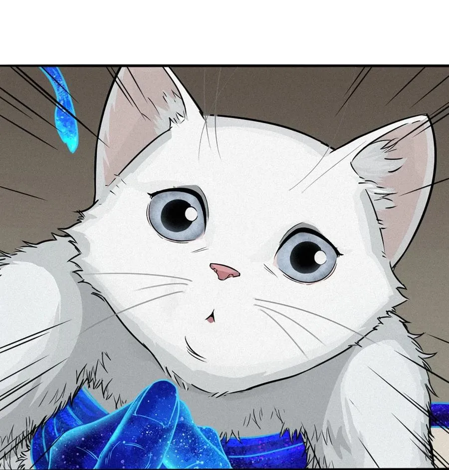 29话 护猫使者（下） 第47页