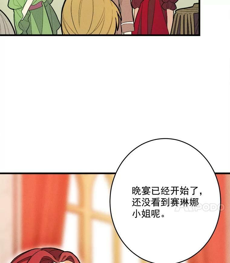 13.宴会开始 第11页
