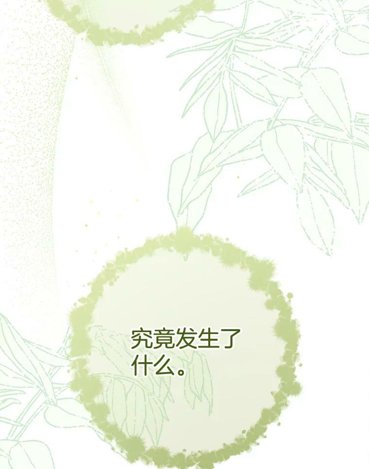 77.你不是“赛琳娜” 第34页