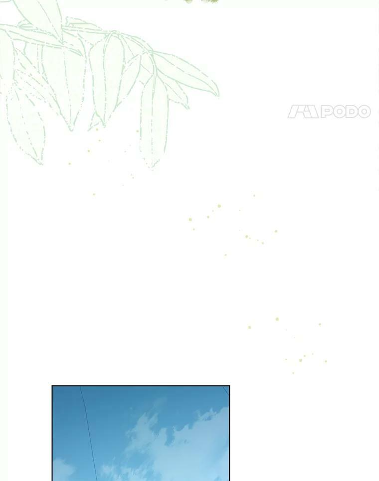 77.你不是“赛琳娜” 第35页