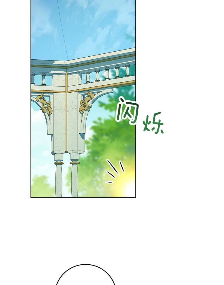 77.你不是“赛琳娜” 第36页