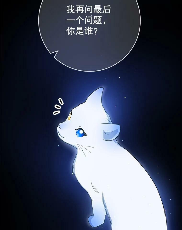 78.莫林 第95页