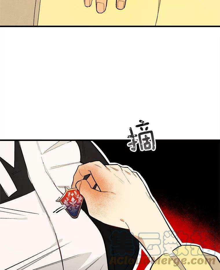 3.第一个帮手 第40页