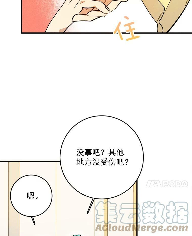 3.第一个帮手 第46页