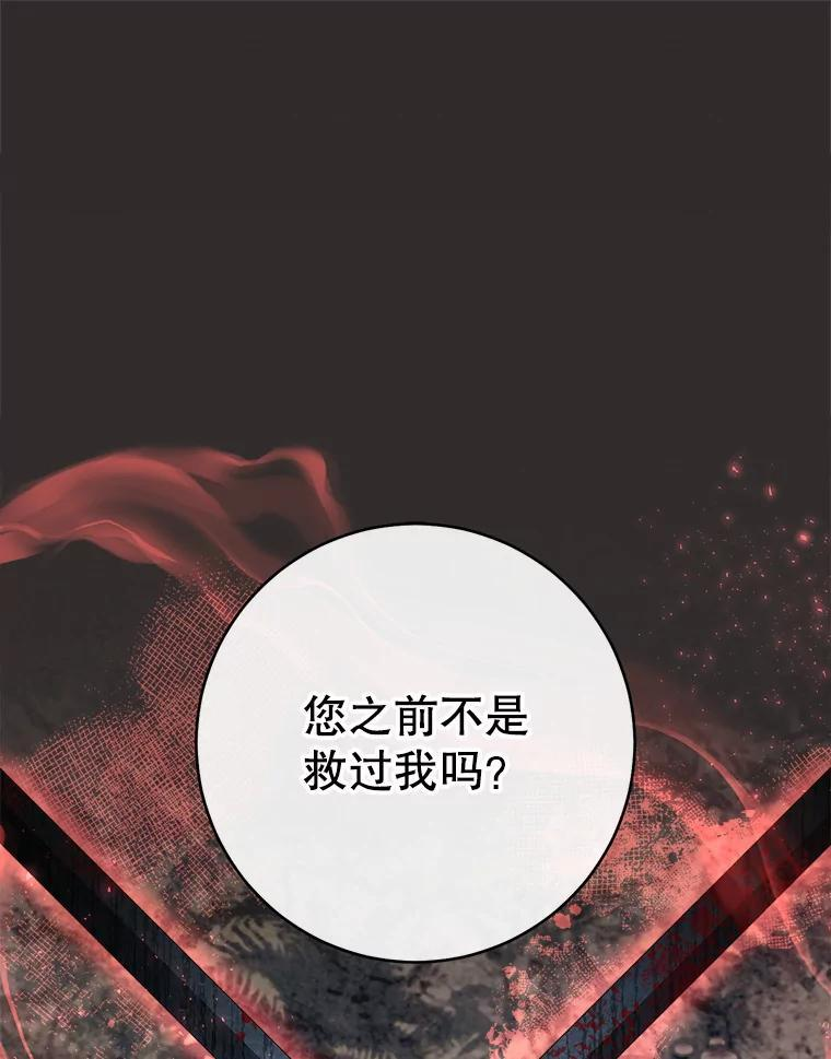 116.表白 第100页