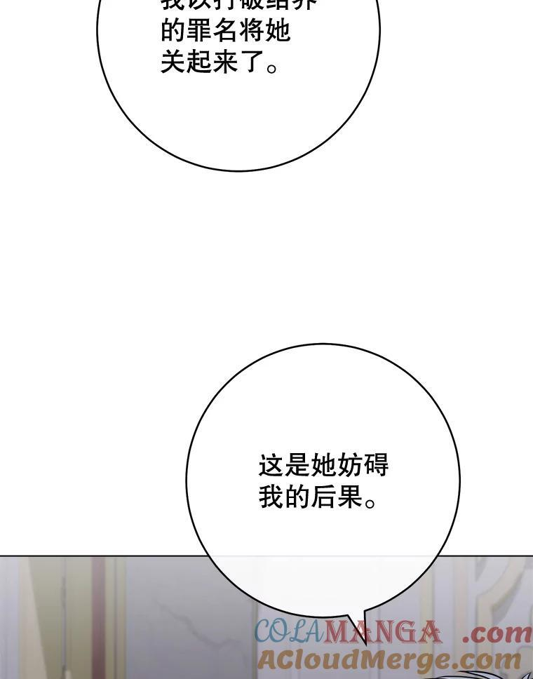 135.真正的计划 第109页
