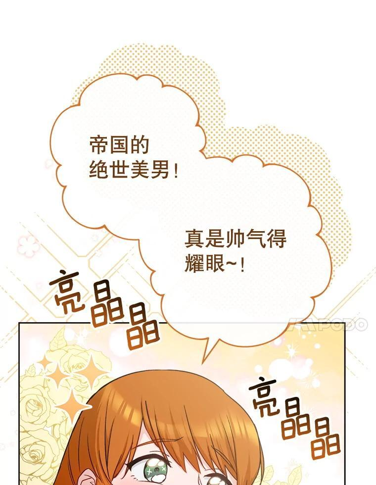 140.红色粉末 第14页