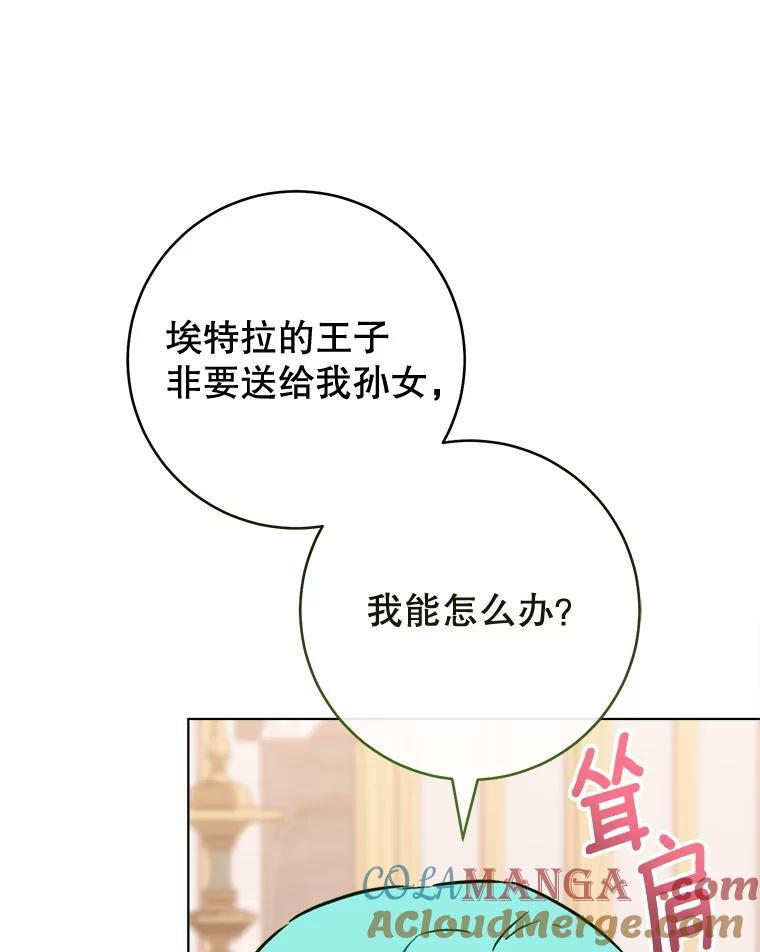 155.争宠 第13页