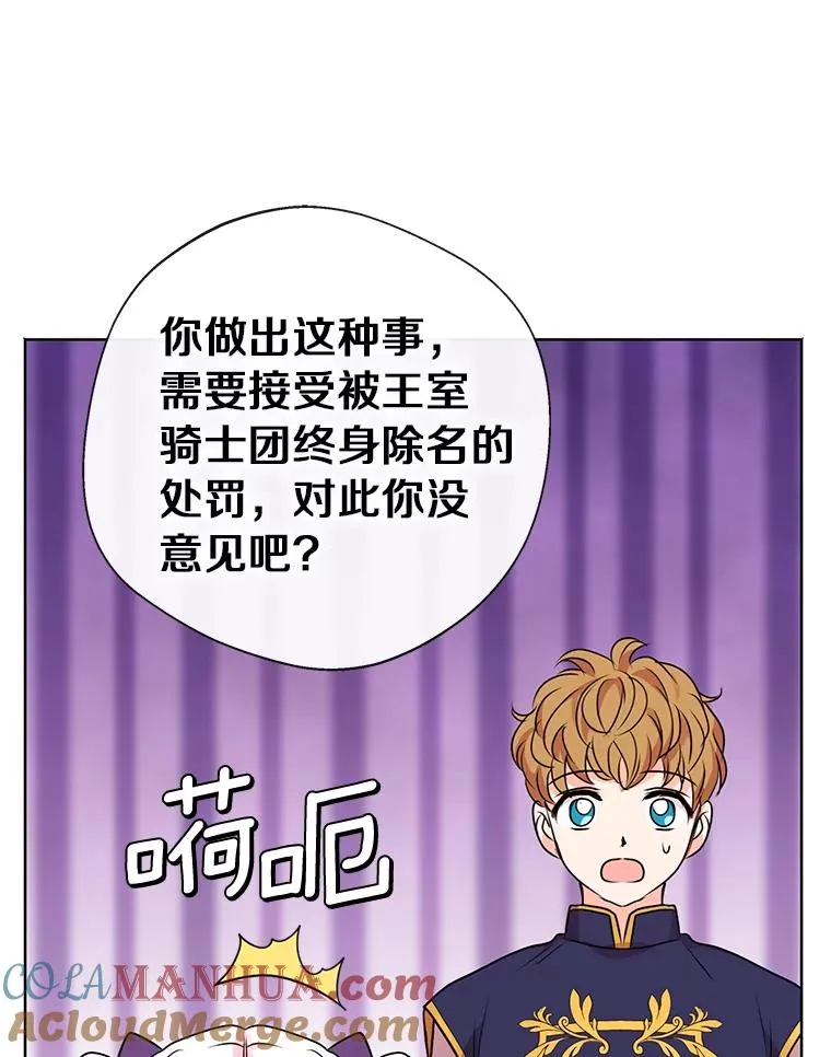 15.忠诚宣誓 第29页