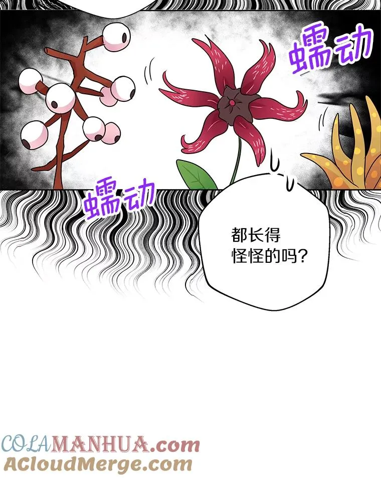 18.新芽庆典 第89页