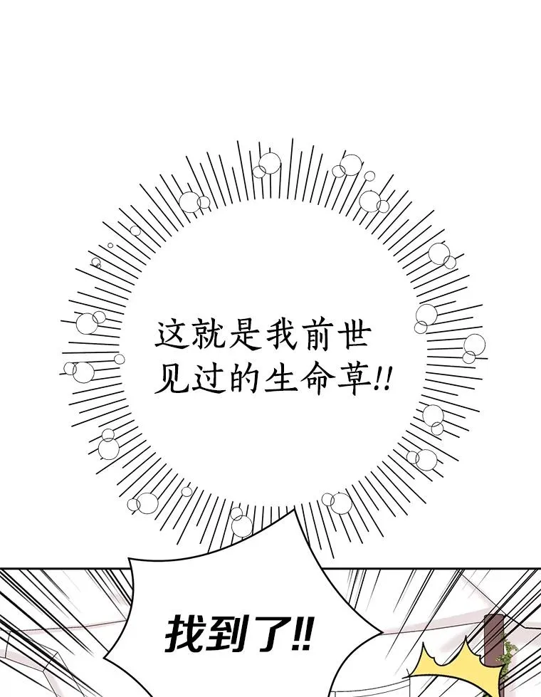 18.新芽庆典 第99页