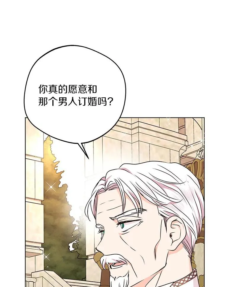 26.订婚仪式 第3页
