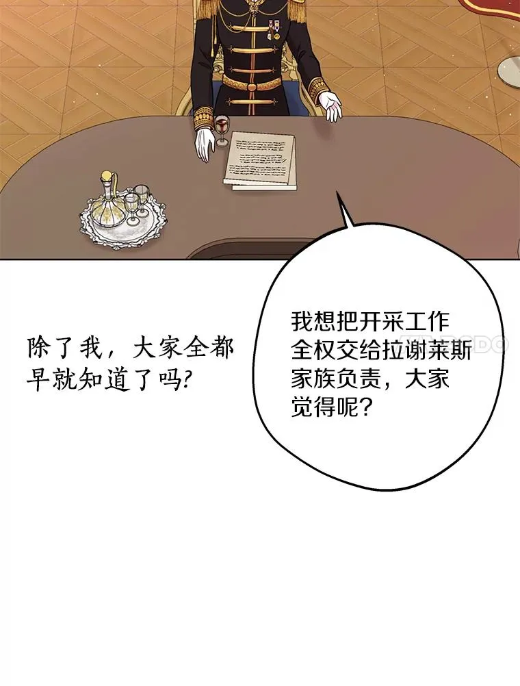 30.国务会议 第99页