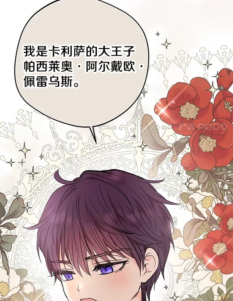 35.塔里的王子 第27页