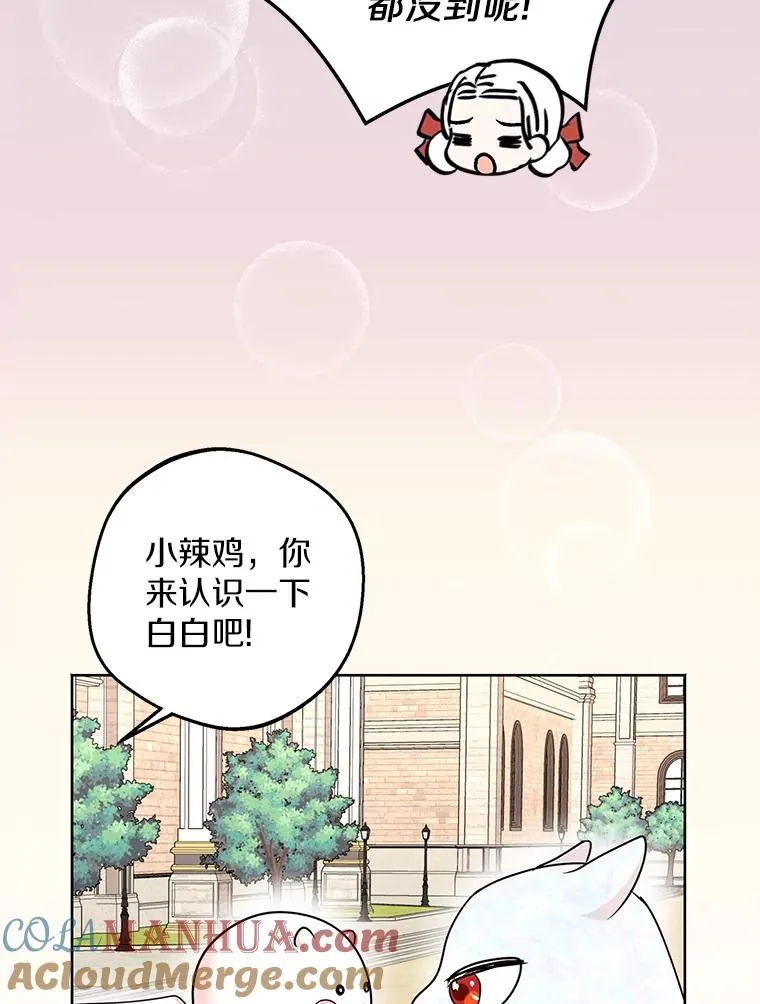 41.神兽九尾狐 第29页