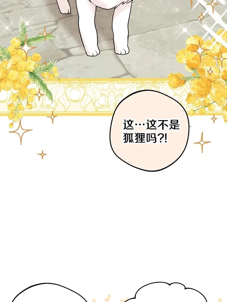 41.神兽九尾狐 第48页