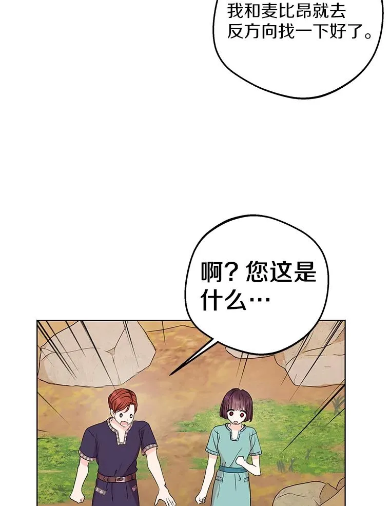 43.出现意外 第47页