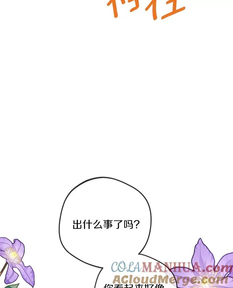 46.回忆 第13页