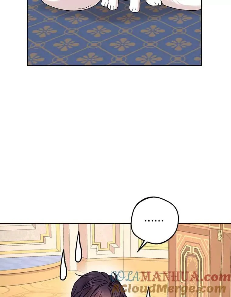 65.退休计划 第13页