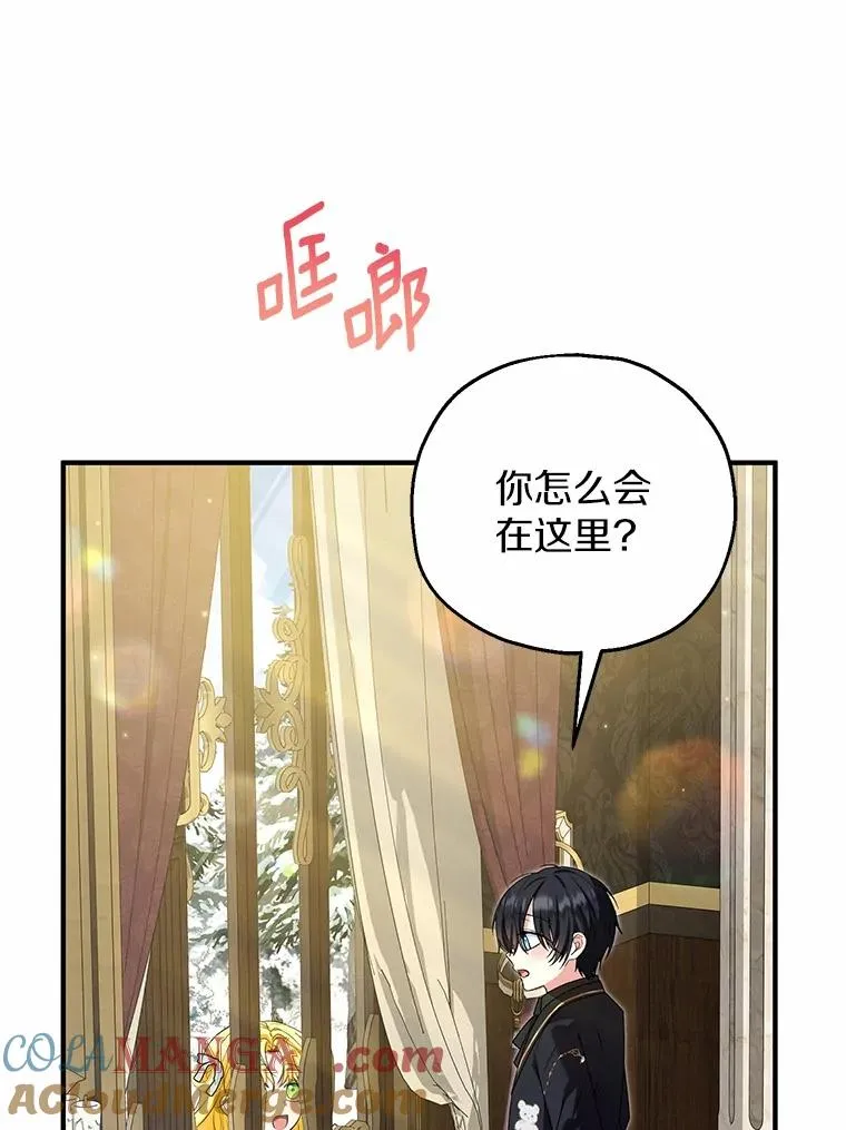 63.雪中玩耍 第85页