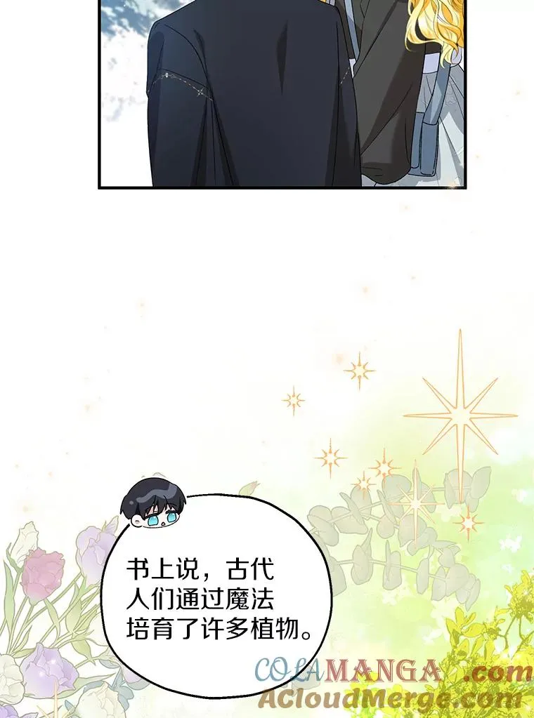 64.神石 第61页