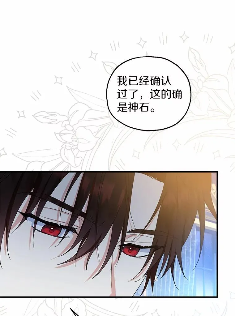 65.曾经的红宝石 第67页