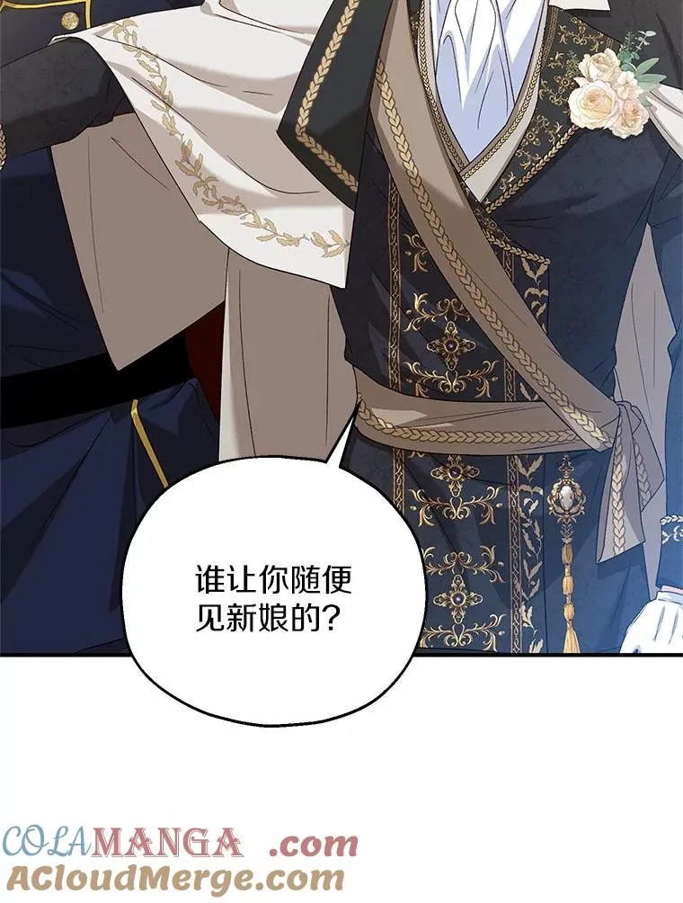 66.结婚典礼 第29页