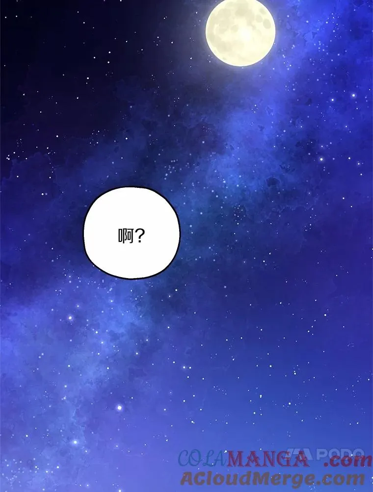 67.开沙龙 第13页