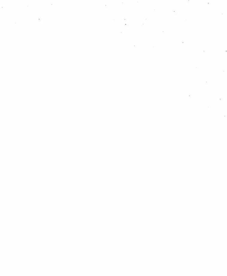 75.儿媳？ 第115页