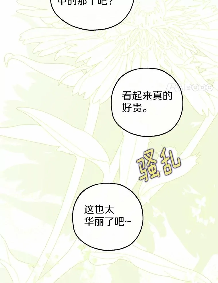 78.亮相舞会 第119页