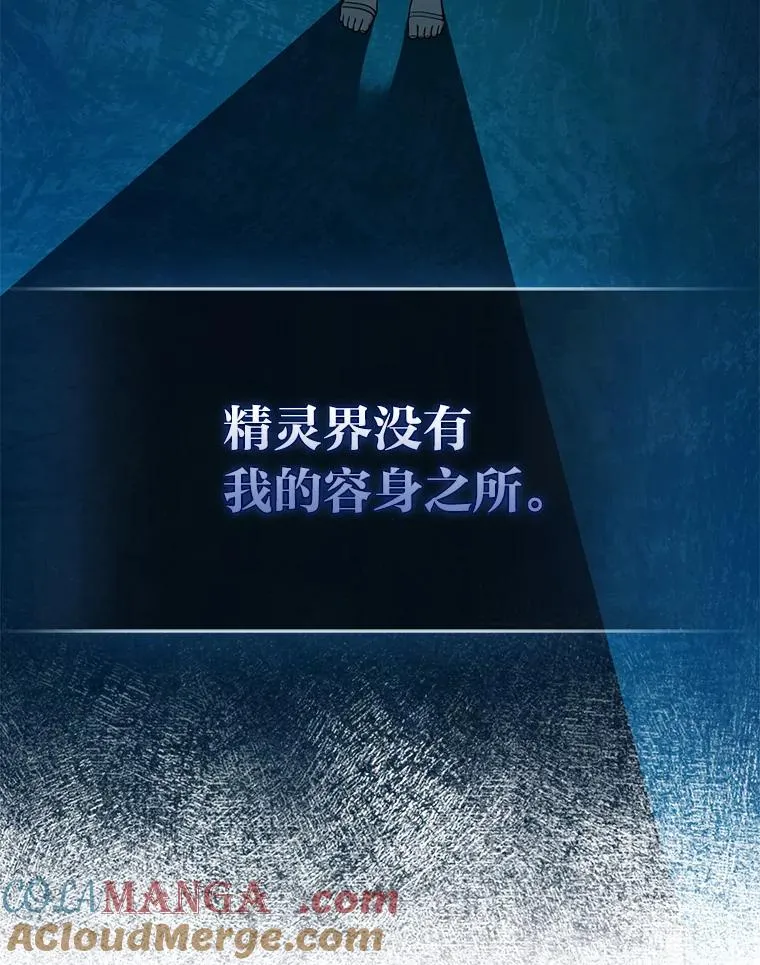 57.与精灵缔约 第33页