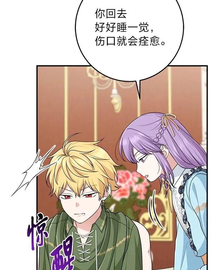 65.谁来护送薇欧拉 第3页