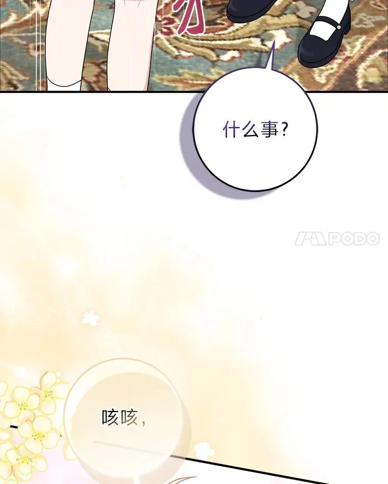 65.谁来护送薇欧拉 第11页