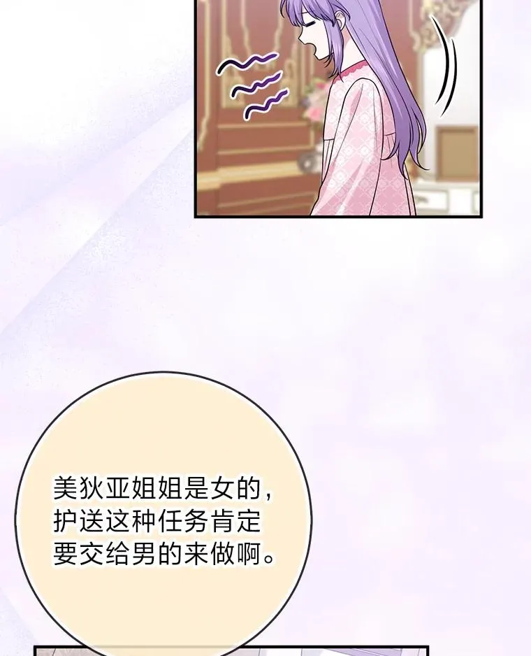 65.谁来护送薇欧拉 第28页
