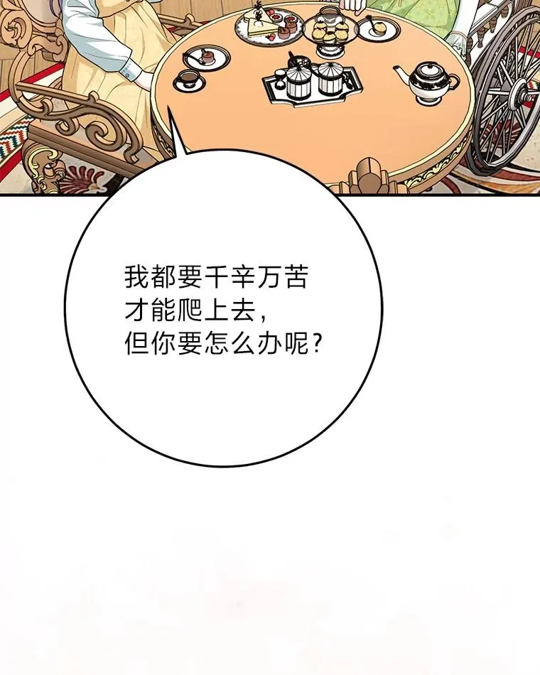 65.谁来护送薇欧拉 第108页