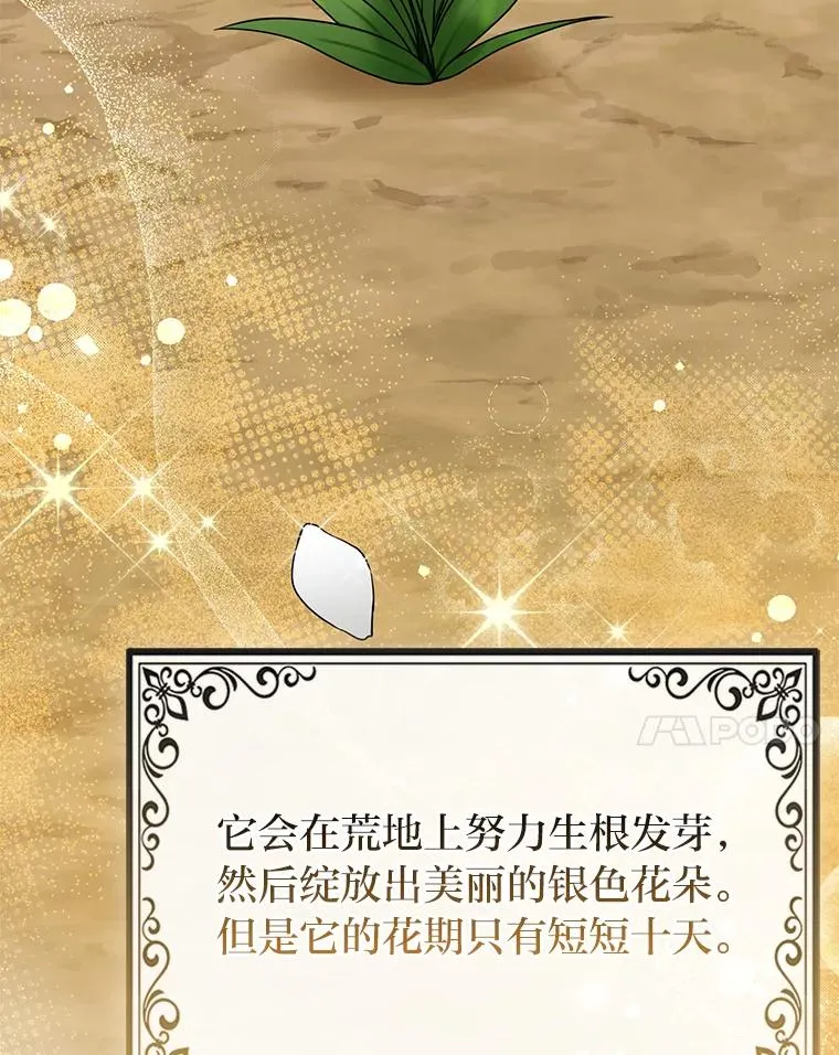 69.薇欧拉的理由 第124页