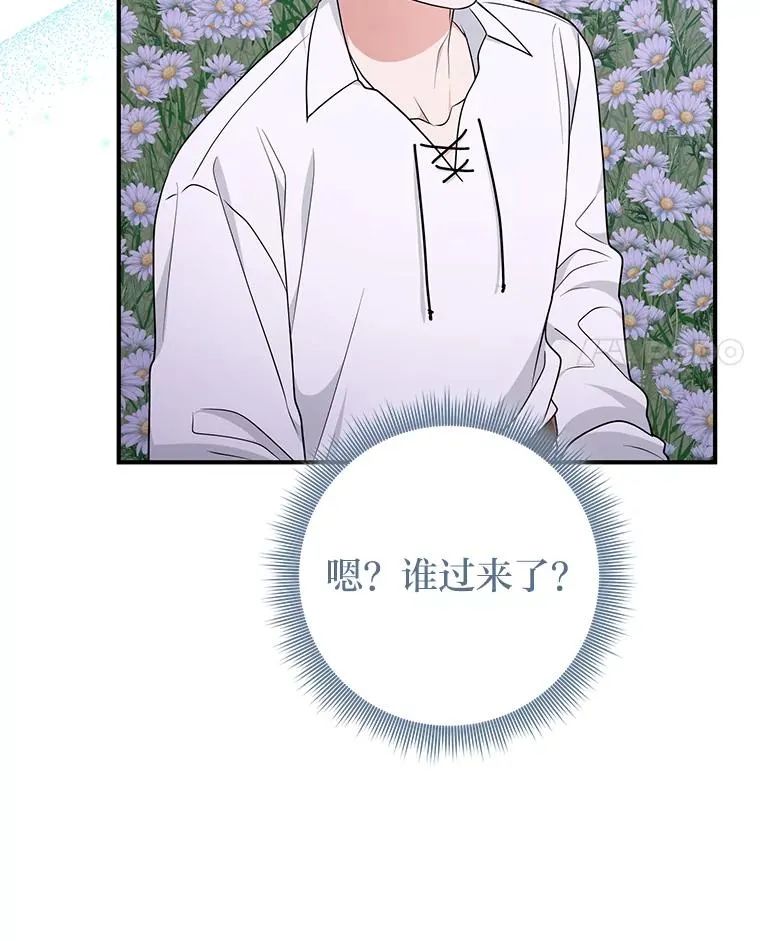75.在花田相遇 第35页