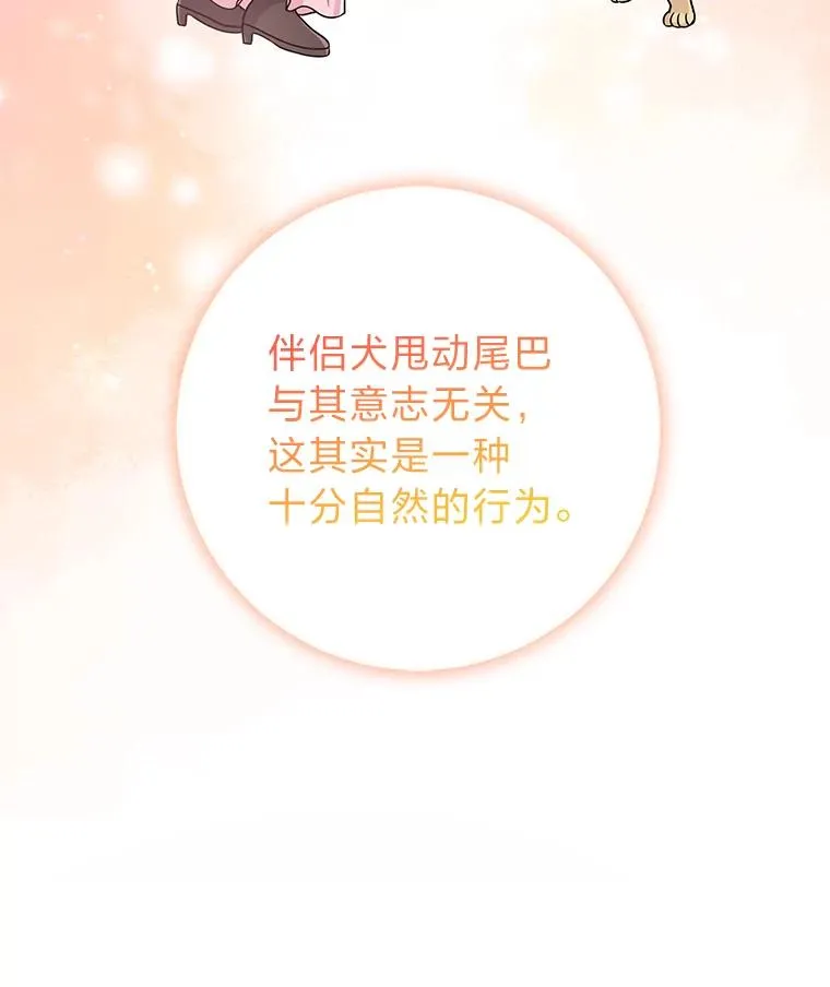 75.在花田相遇 第76页